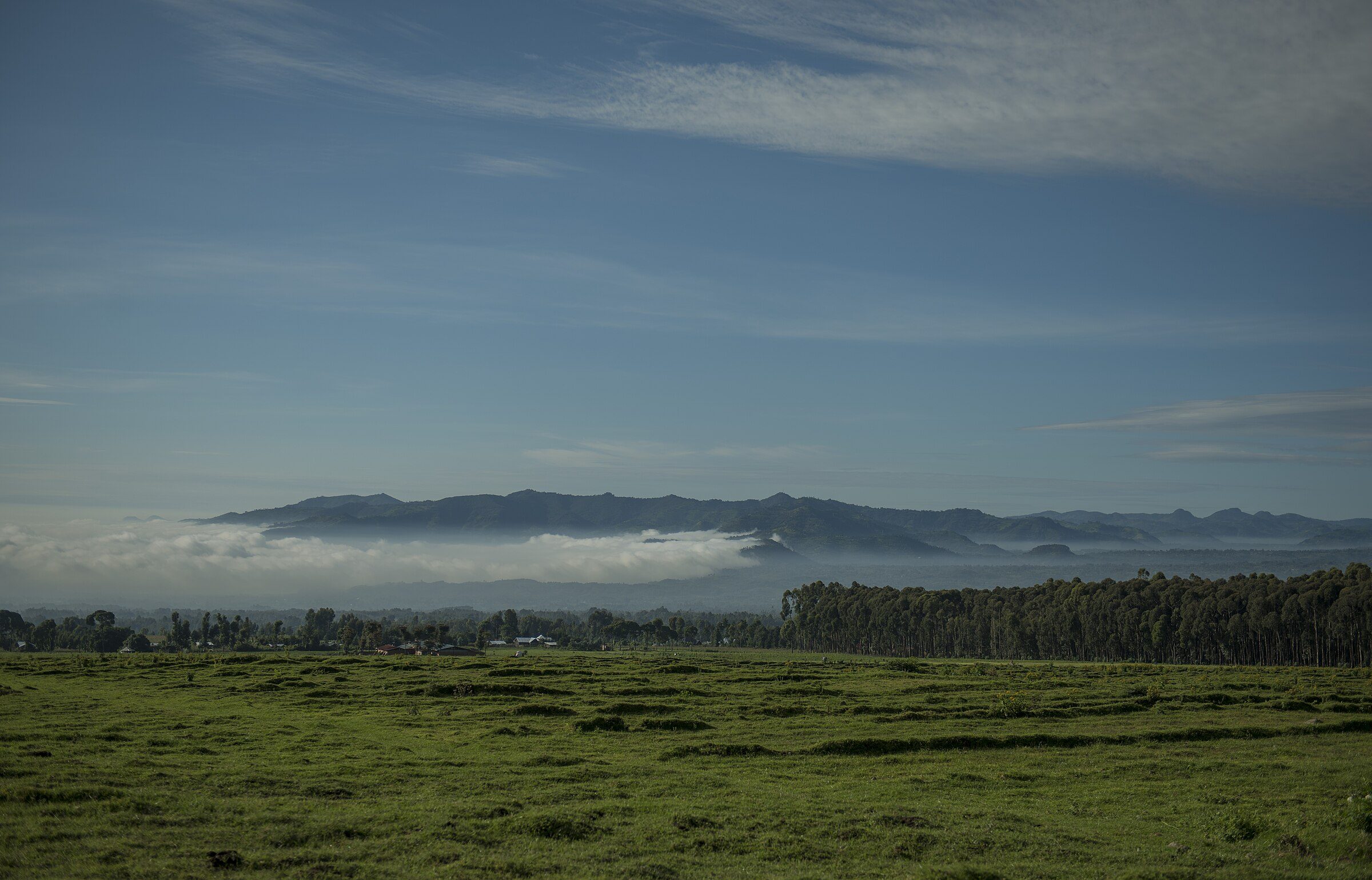 Morning mist over the plains of Kinigi, beneath the Virunga mountains