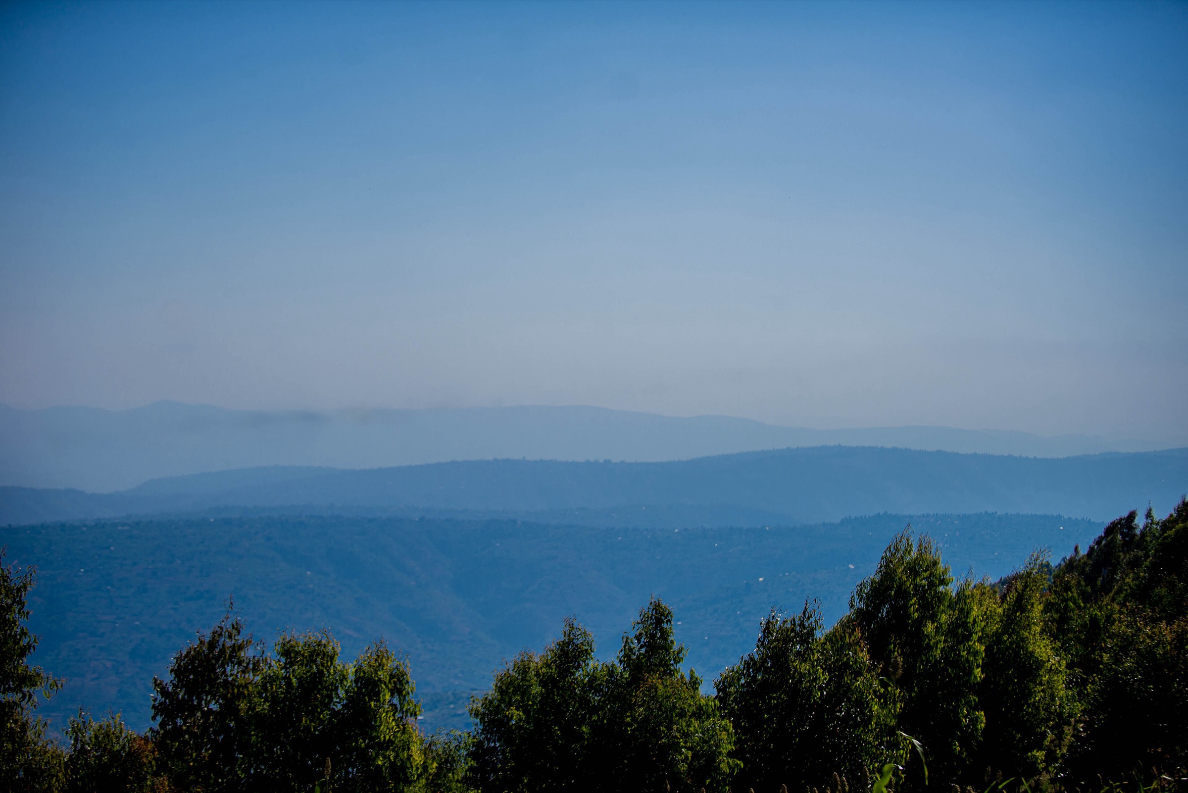 Rolling green hills of Rwanda under a wide sky